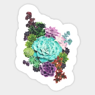 Succulent Sticker